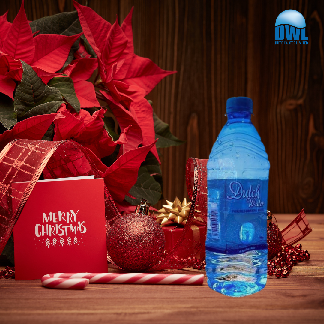 Dwl Water bottle Christmas